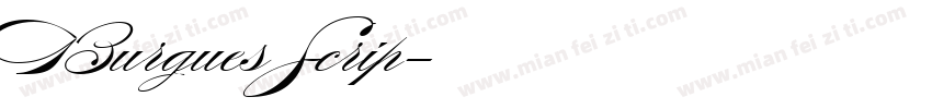 Burgues Scrip字体转换